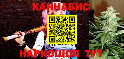 сатива Обь