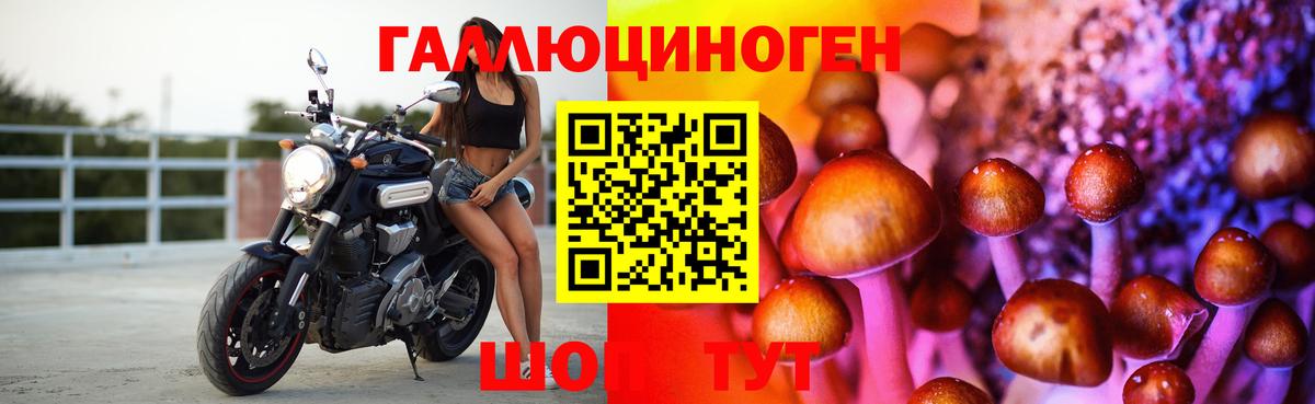 Новокубанск  Псилоцибиновые грибы MAGIC MUSHROOMS  Вход с VPN  Псилоцибиновые грибы Psilocybine cubensis 